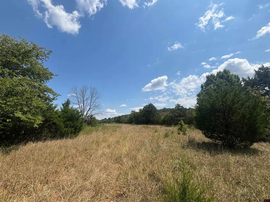 Tract 3 LITTLE WOODS ROAD, Elizabeth, AR 72531 - #3