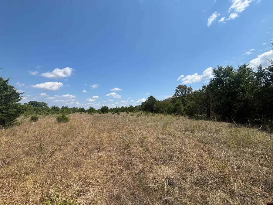 Tract 4 LITTLE WOODS ROAD, Elizabeth, AR 72531 - #3