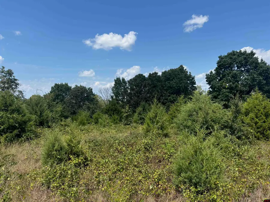 Tract 5 LITTLE WOODS ROAD, Elizabeth, AR 72531 - #3