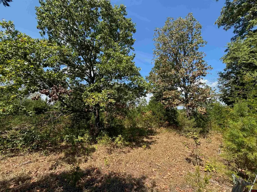 Tract 8 LITTLE WOODS ROAD, Elizabeth, AR 72531 - #3