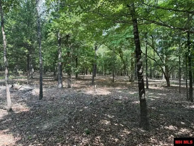 18 CATAWBA, Clarkridge, AR 72623 - #1