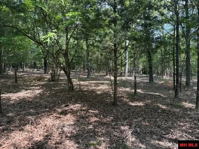 18 CATAWBA, Clarkridge, AR 72623 - #2