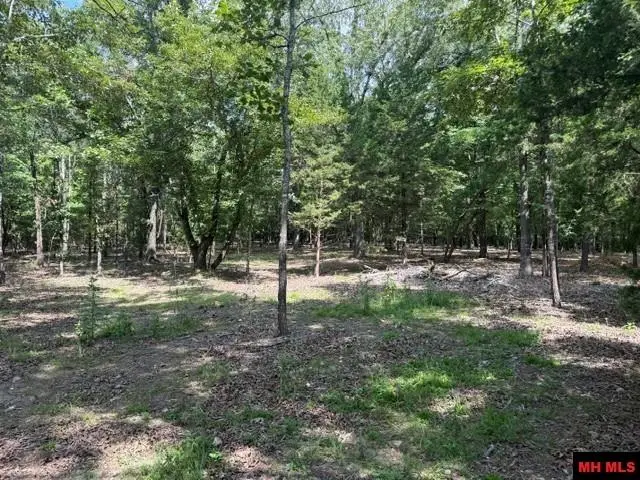 18 CATAWBA, Clarkridge, AR 72623 - #3