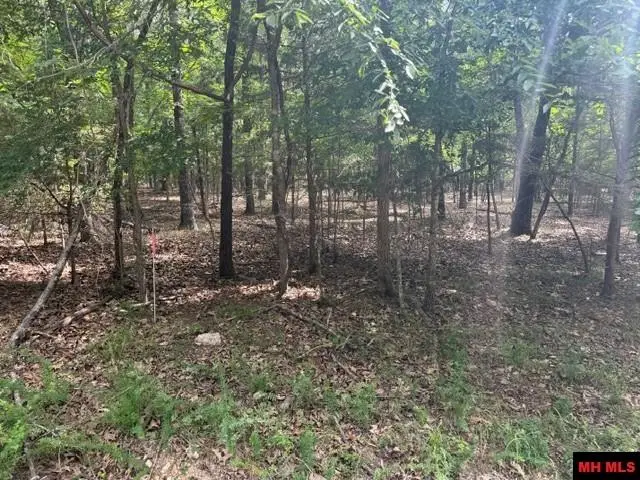 319 CR 472, Clarkridge, AR 72623 - #2