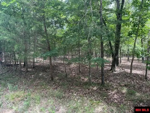 319 CR 472, Clarkridge, AR 72623 - #3