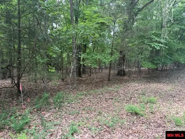 218 CR 472, Clarkridge, AR 72623