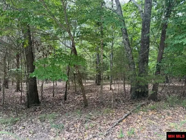 258 CR 472, Clarkridge, AR 72623 - #1