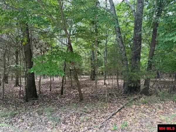 258 CR 472, Clarkridge, AR 72623