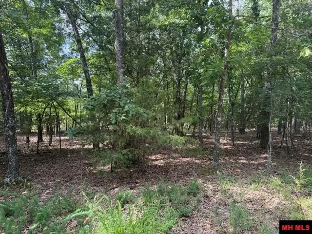 258 CR 472, Clarkridge, AR 72623 - #2