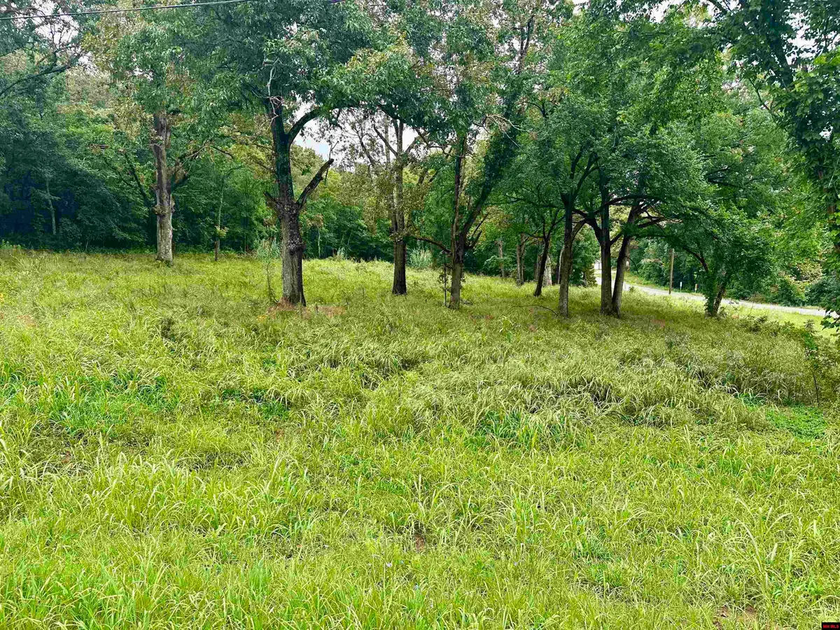 001-04809-000 HWY 206, Yellville, AR 72687 - #1