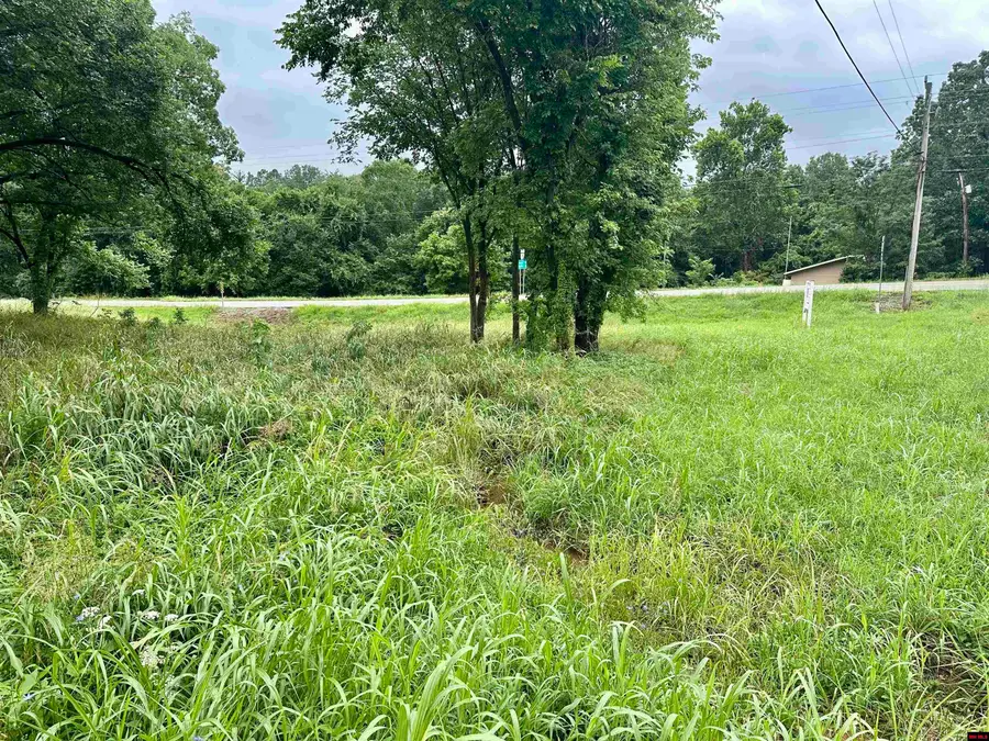 001-04809-000 HWY 206, Yellville, AR 72687 - #2