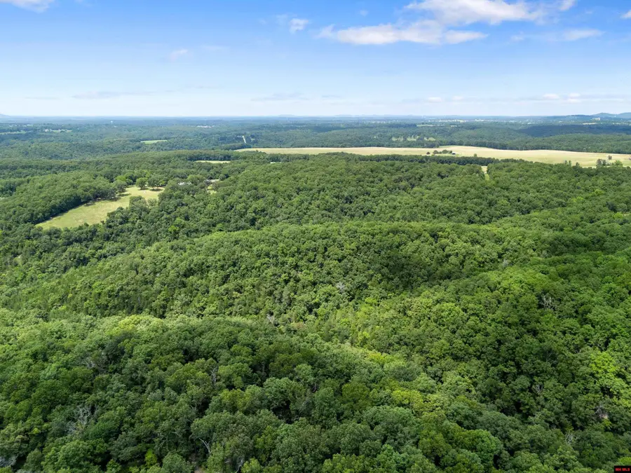 Tract 5 LYLE DRIVE, Mountain Home, AR 72653 - #2