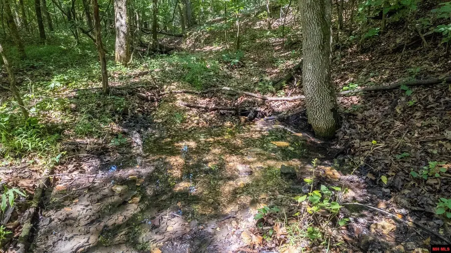 10824 UPPER JANES CREEK ROAD, Ravenden, AR 72459 - #3