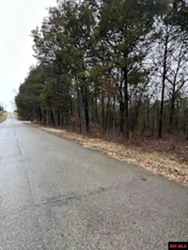 770-05121-000 HWY 62/412 EAST, Flippin, AR 72634 - #3