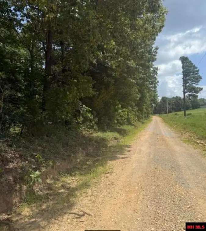 Tract 20 DEER CHASE ROAD, Viola, AR 72583 - #1