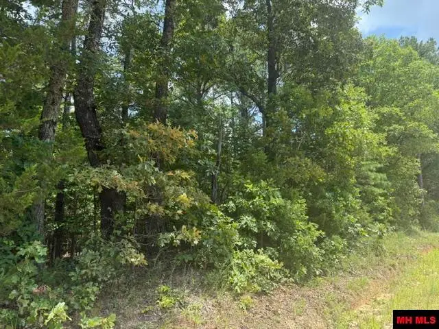 Tract 20 DEER CHASE ROAD, Viola, AR 72583 - #2