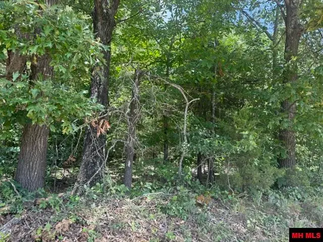 Tract 20 DEER CHASE ROAD, Viola, AR 72583 - #3