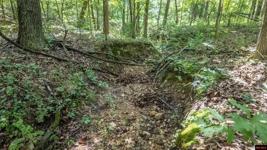 Tract 4 UPPER JANES CREEK ROAD, Ravenden, AR 72459 - #3