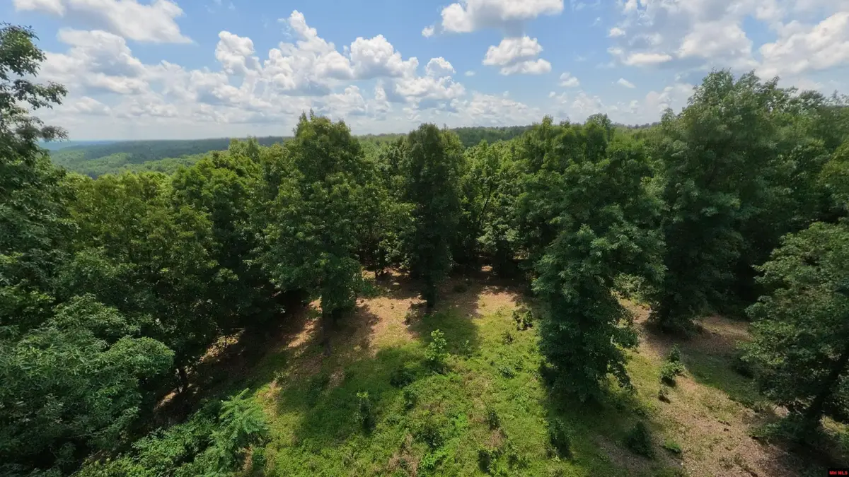 Tract 3 UPPER JANES CREEK ROAD, Ravenden, AR 72459 - #1