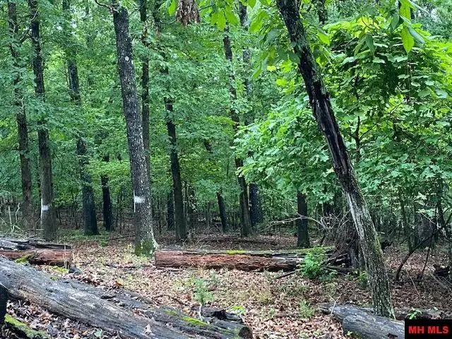 Lot 5 LAKEVIEW CIRCLE, Bull Shoals, AR 72619 - #2