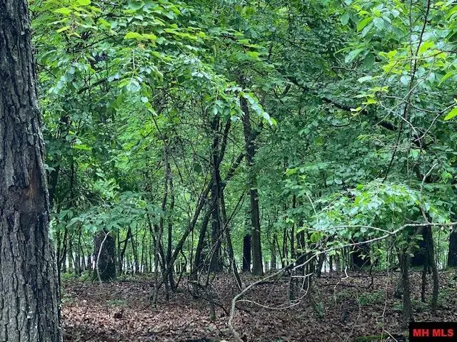 Lot 5 LAKEVIEW CIRCLE, Bull Shoals, AR 72619 - #3