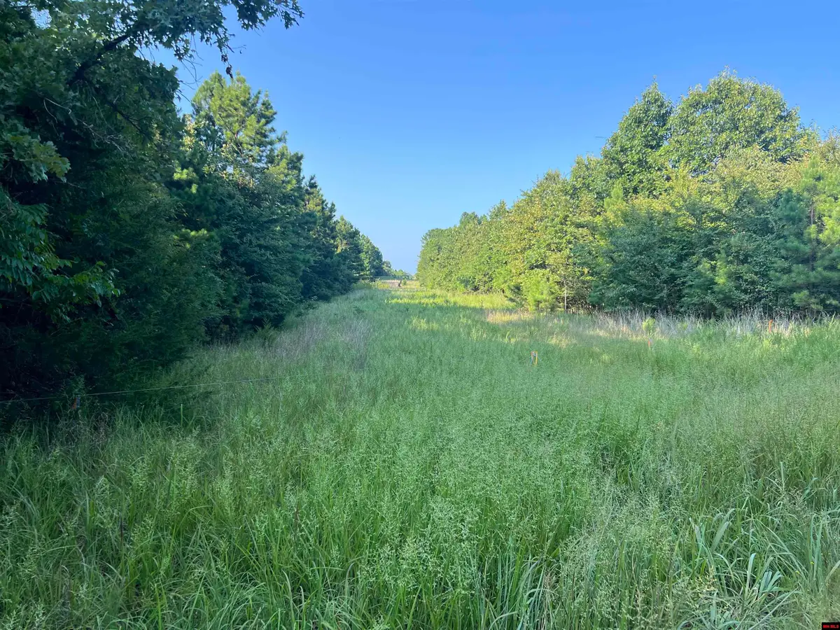 000 MC 8044, Yellville, AR 72687 - #1