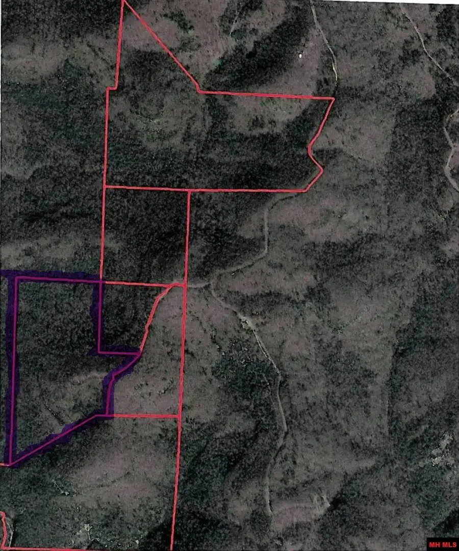 #001-00411-001 MALLARD TERRACE, Flippin, AR 72634 - #2