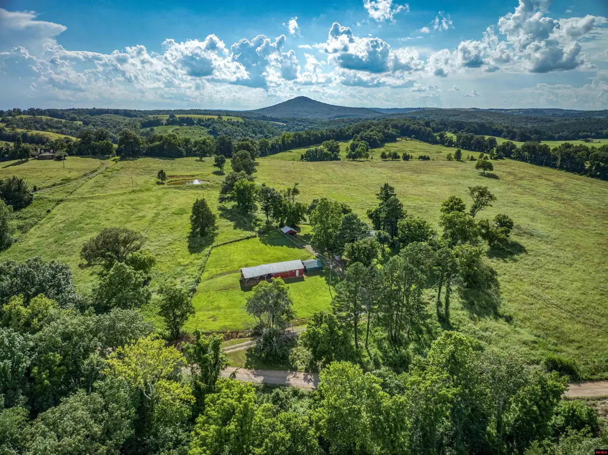 151 WHITE STAR LN, Saint Joe, AR 72675 - #1