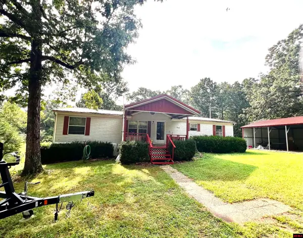 46 TUSCON LANE, Viola, AR 72583