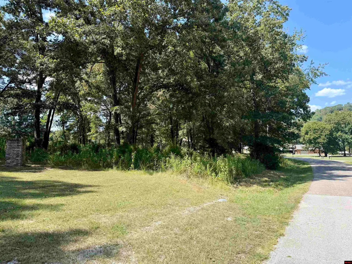 Lot 31 RIVERBEND DRIVE, Flippin, AR 72634 - #1