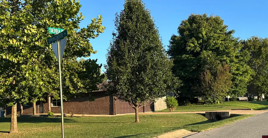320 SPRINGWOOD DRIVE, Mountain Home, AR 72653 - #3