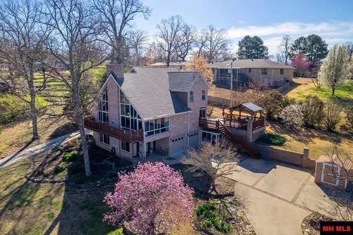 79 ELIZABETH WAY, Lakeview, AR 72642 - #1