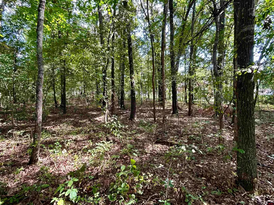 002-11077-074 NORTHPOINTE DRIVE, Mountain Home, AR 72653 - #3