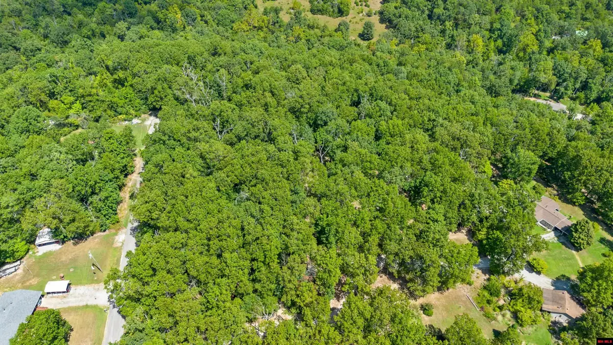 002-08642-013 CR 87, Mountain Home, AR 72653 - #1