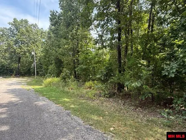 002-08642-013 CR 87, Mountain Home, AR 72653 - #3