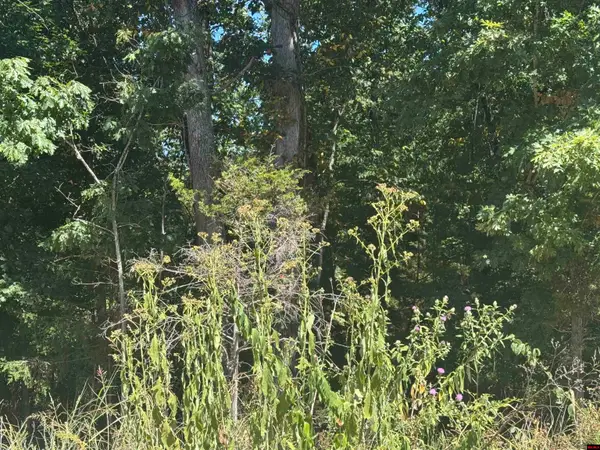 Lots 198-201 WICK ROAD, Briarcliff, AR 72653