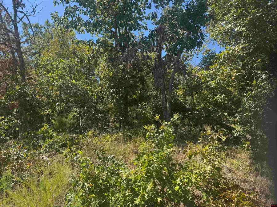 Lots 198-201 WICK ROAD, Briarcliff, AR 72653 - #2