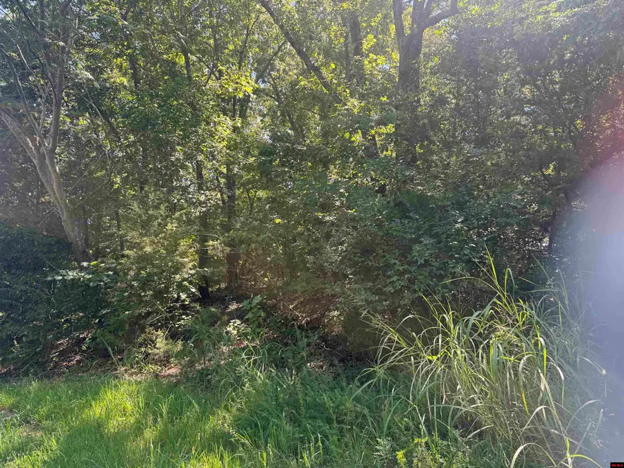 Lots 198-201 WICK ROAD, Briarcliff, AR 72653 - #3