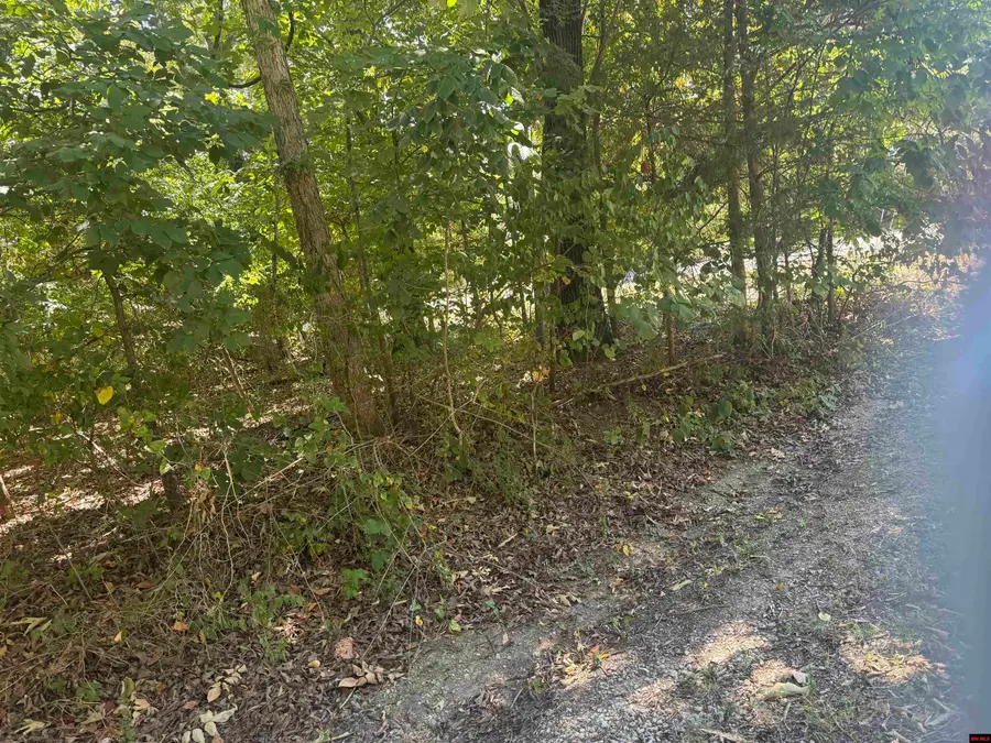 760-15822-000 MCDONALD MEADOWS PARKWAY, Bull Shoals, AR 72619 - #2