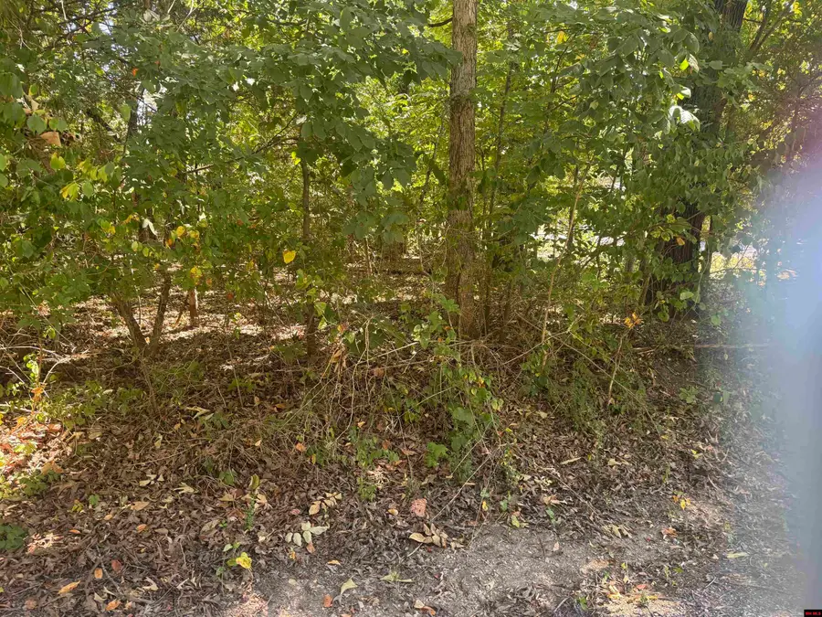 760-15822-000 MCDONALD MEADOWS PARKWAY, Bull Shoals, AR 72619 - #3