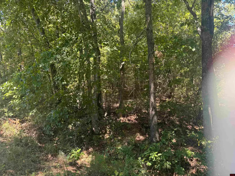 760-06653-000 LYNETTE AVENUE, Bull Shoals, AR 72617 - #2