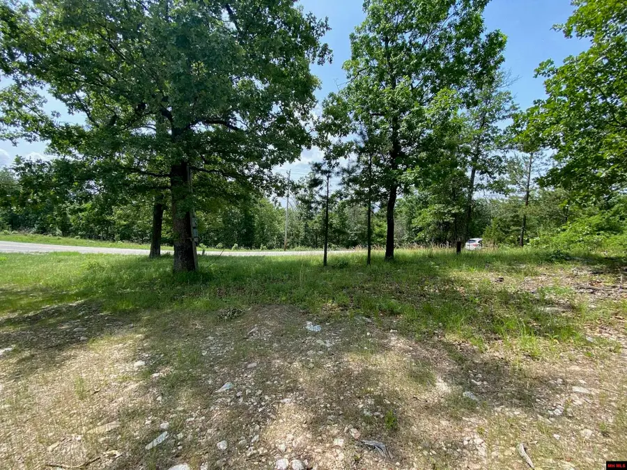 2232 SYCAMORE SPRINGS ROAD, Mountain Home, AR 72653 - #3