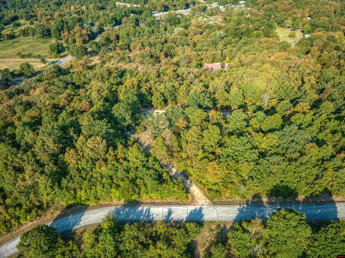 66 OAK SUMMIT DRIVE, Mountain Home, AR 72653 - #1