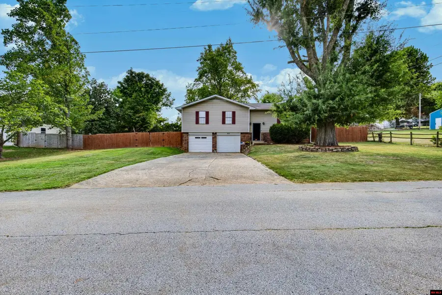 875 MEADOW LANE DRIVE, Harrison, AR 72601 - #3