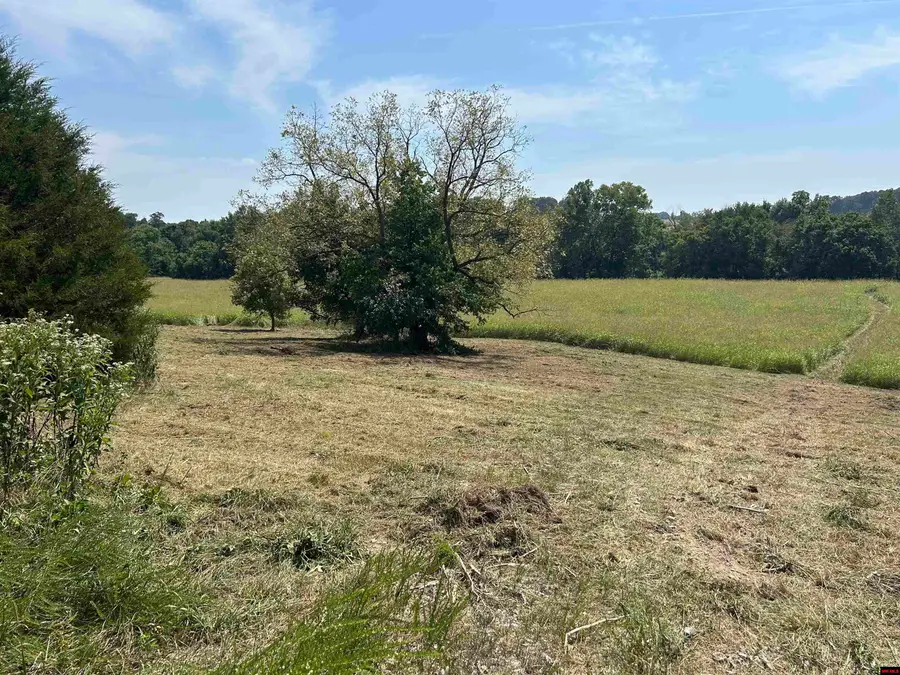 250 CR 1510, Huntsville, AR 72740 - #3