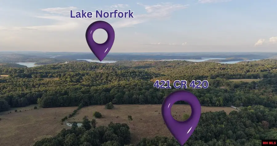 421 CR 420, Mountain Home, AR 72653 - #3