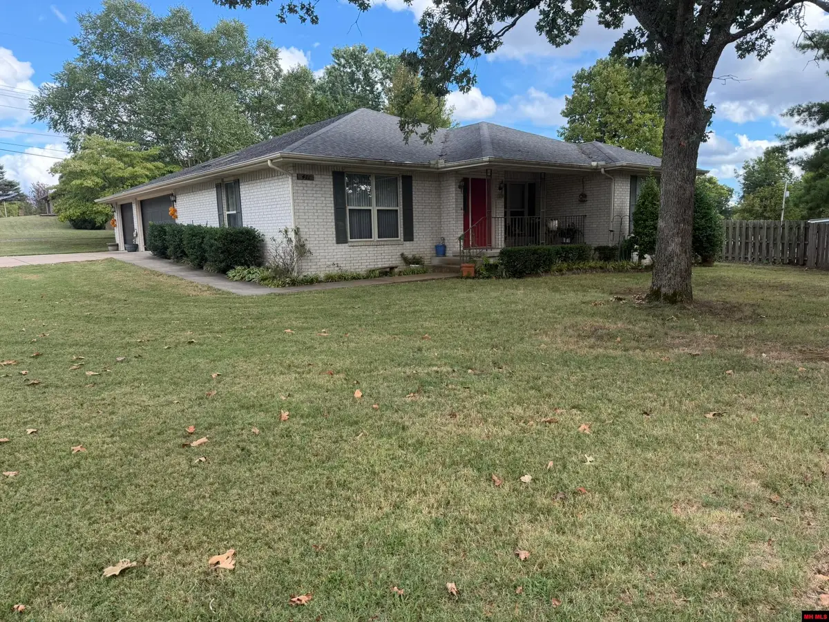 411 LOUANN DRIVE, Mountain Home, AR 72653 - #1