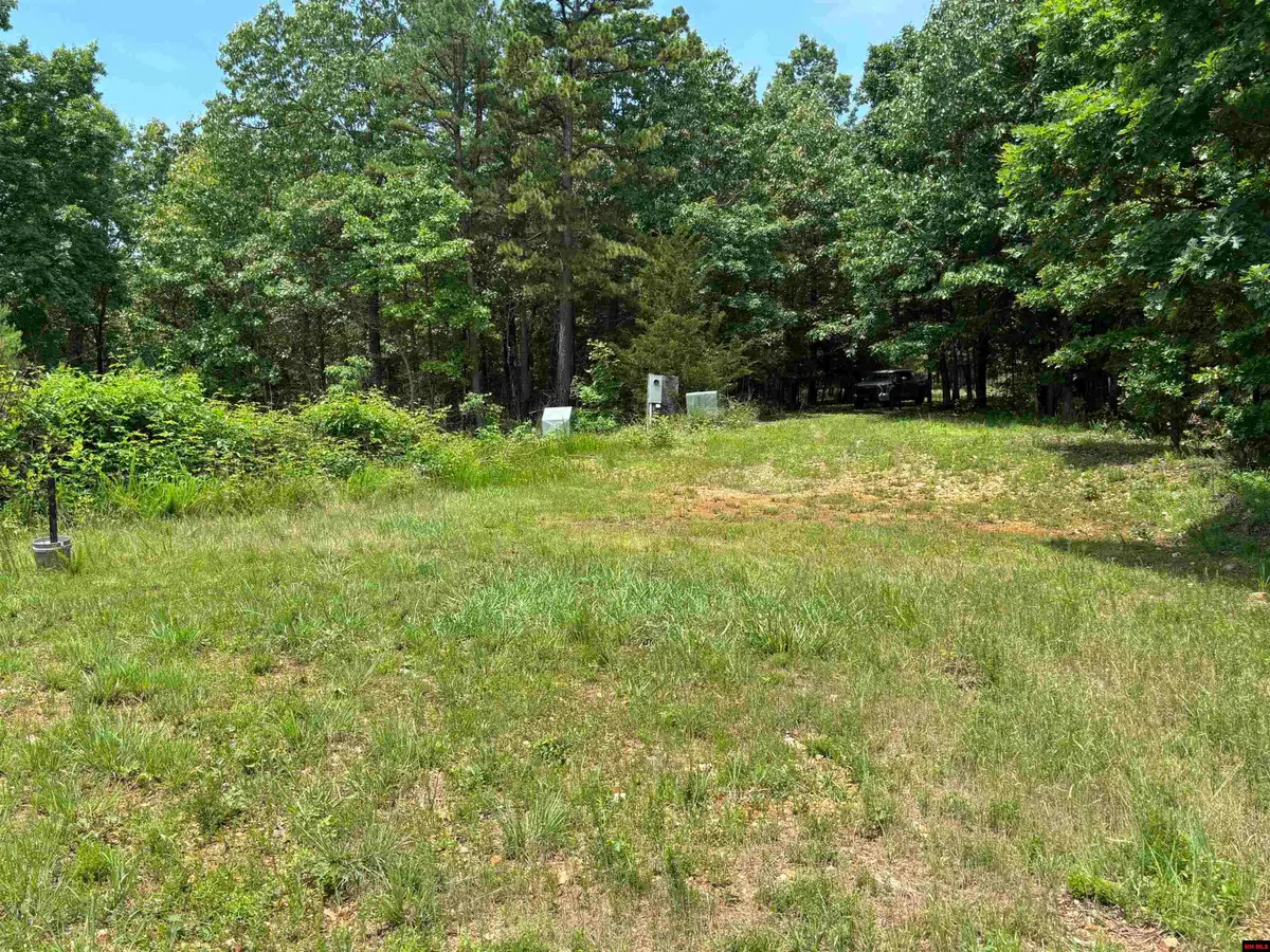 001-04999-000 MACKENZI RIDGE LANE, Yellville, AR 72687 - #1