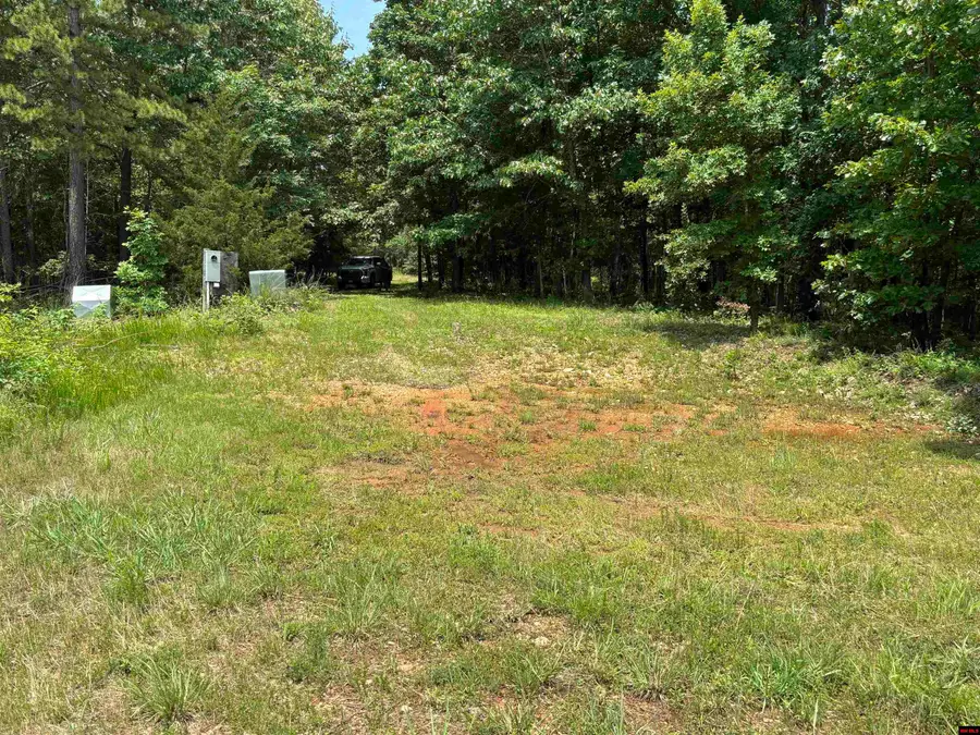 001-04999-000 MACKENZI RIDGE LANE, Yellville, AR 72687 - #2