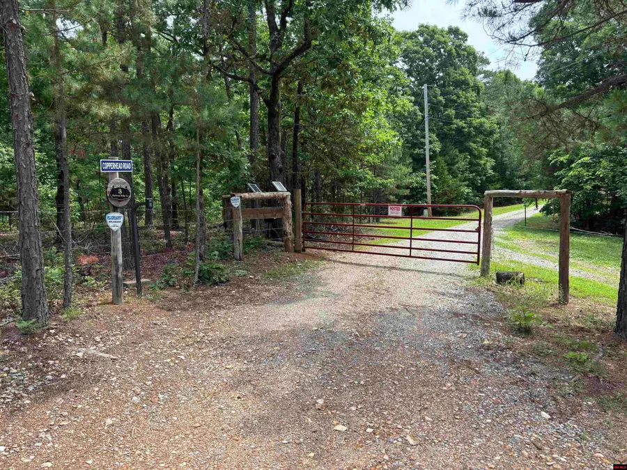 001-04999-000 MACKENZI RIDGE LANE, Yellville, AR 72687 - #3